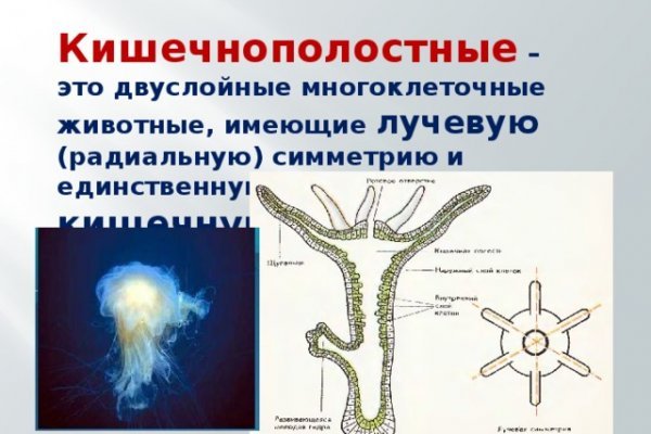 Как зарегистрироваться на кракене