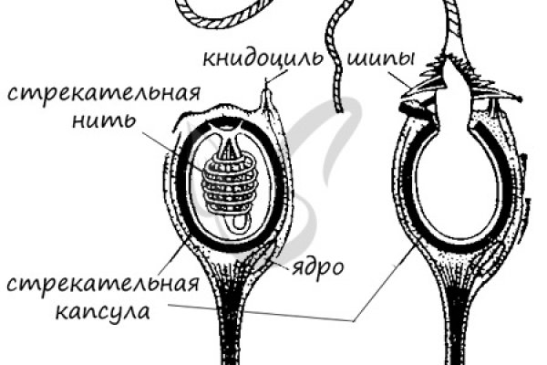 Регистрация на kraken com