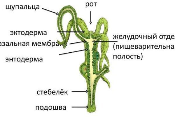 Как найти сайт кракен