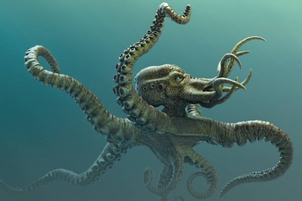 Kraken пользователь не найден при входе