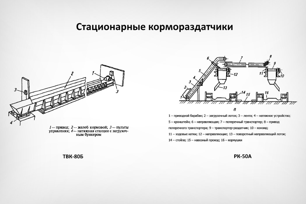 Схема водоснабжения животноводческой фермы