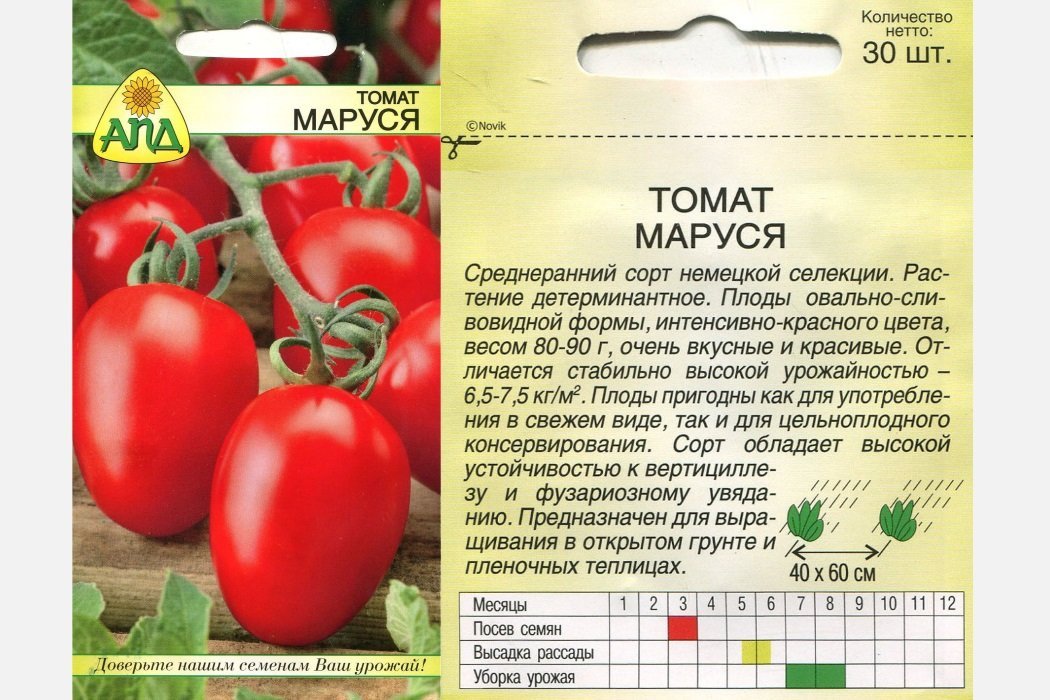 Томат описание фото. Томаты сорт Маруся. Томат Маруся Биотехника. Томат Маруся СЕДЕК. Томат Маруся семена.